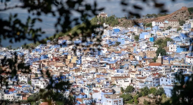 Chefchaouen Blue Route Tour: Secrets of the Medina & Hidden Passages  Morocco &mdash; #41