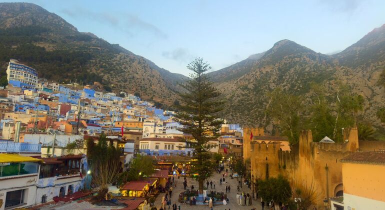 Chefchaouen Blue Route Tour: Secrets of the Medina & Hidden Passages  Morocco &mdash; #48