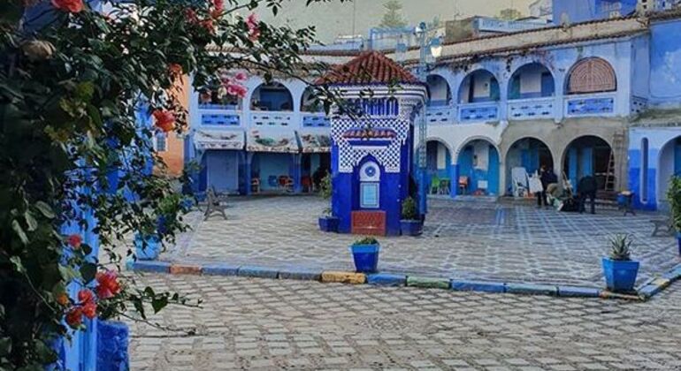 Free Blue Route Tour of Chefchaouen: Secrets of the Medina and Hidden Passages Morocco &mdash; #47
