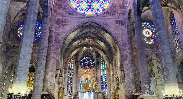 palma-de-mallorca-tour-cathedral-gardens-and-local-heritage-en-2