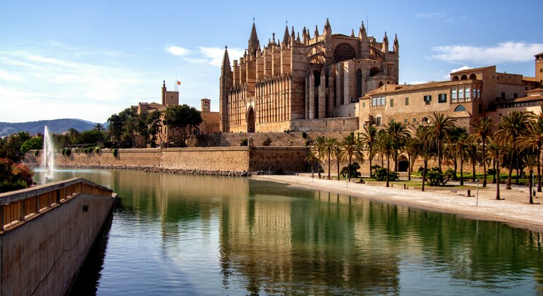 Palma de Mallorca Tour: Cathedral, Gardens & Local Heritage