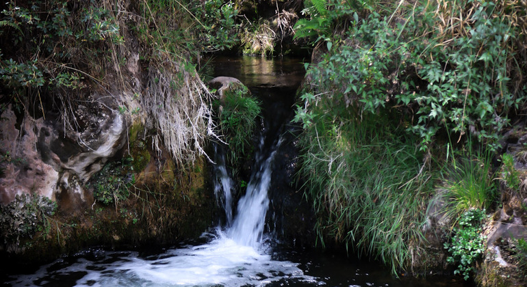 Inkilltambo Trek Tour: Aventura Fácil en Cusco Perú &mdash; #22