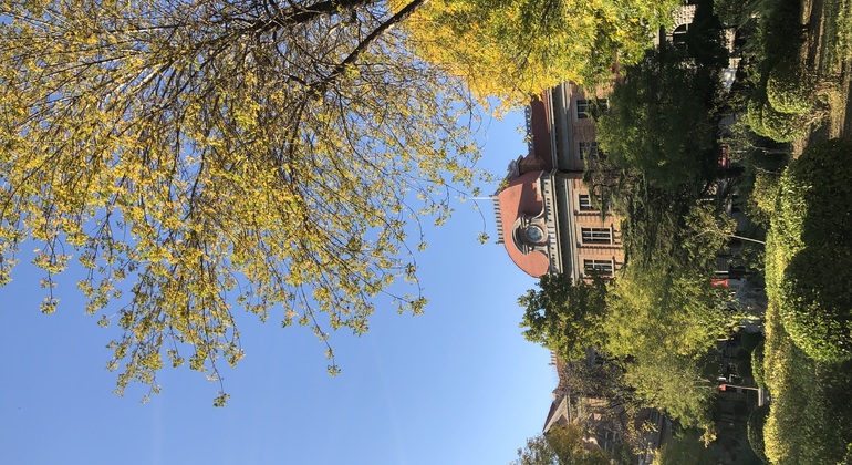 Tour gratuito di Tianjin: il tesoro nascosto vicino a Pechino  Cina &mdash; #9