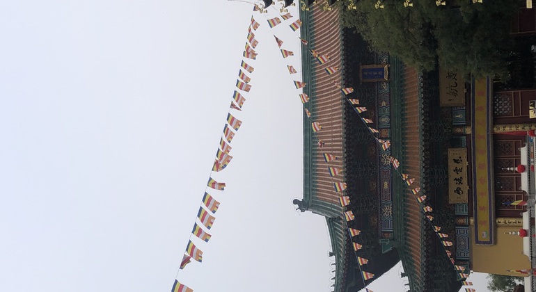 Tour gratuito di Tianjin: il tesoro nascosto vicino a Pechino  Cina &mdash; #10