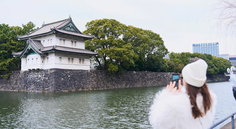 Tokyo: 1 Hour Imperial Palace Introduction from Tokyo Station Japan &mdash; #2
