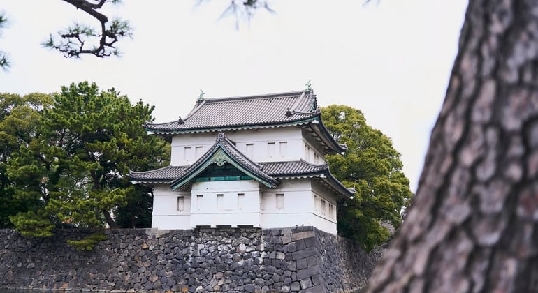 Tokyo: 1 Hour Imperial Palace Introduction from Tokyo Station Japan &mdash; #5