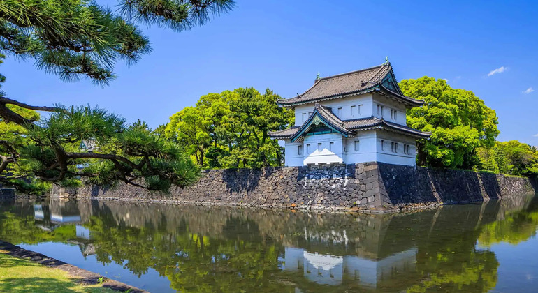 Tokyo: 1 Hour Imperial Palace Introduction from Tokyo Station Japan &mdash; #6