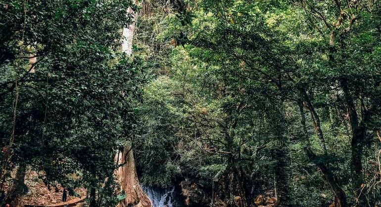 James Bond Island Tour Thailand &mdash; #8