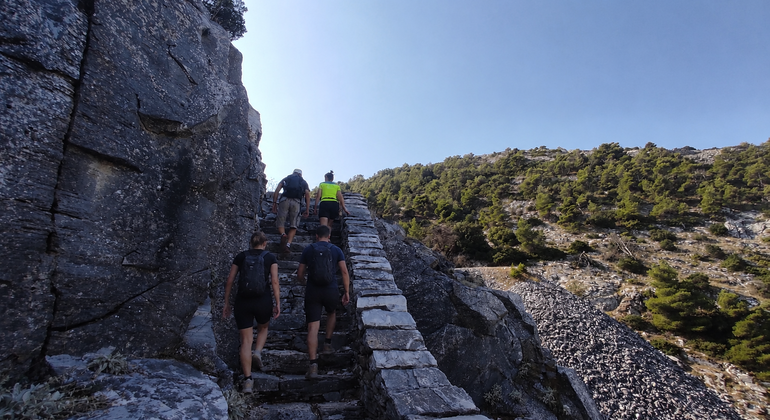 Hidden Trails of Penteli Mountain Greece &mdash; #4