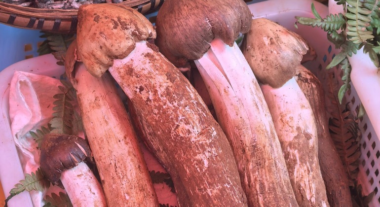 Saborea Yunnan: Mercado matinal de Kunming y paseo gastronómico China &mdash; #3