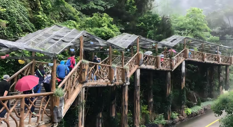 Guangzhou: Qingyuan Gulong Gorge & Dongtian Fairyland Tour