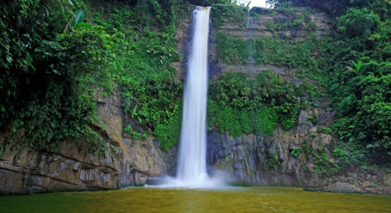 sreemangal-adventure-tea-gardens-rainforests-tribal-culture-en-1