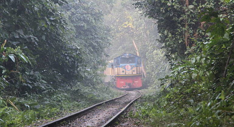 sreemangal-adventure-tea-gardens-rainforests-tribal-culture-en-4