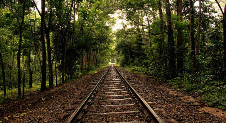 sreemangal-adventure-tea-gardens-rainforests-tribal-culture-en-5