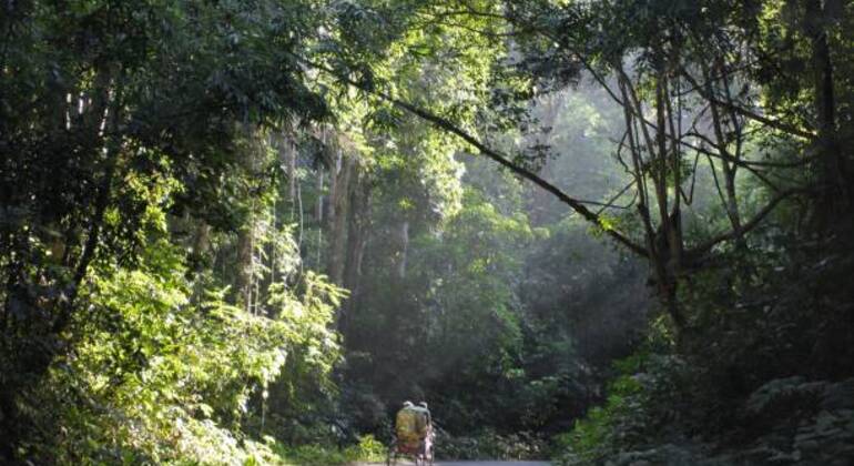 sreemangal-adventure-tea-gardens-rainforests-tribal-culture-en-6