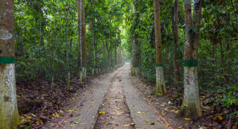 sreemangal-adventure-tea-gardens-rainforests-tribal-culture-en-9