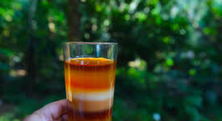 sreemangal-adventure-tea-gardens-rainforests-tribal-culture-en-11
