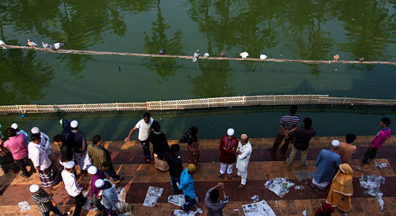 sreemangal-adventure-tea-gardens-rainforests-tribal-culture-en-14