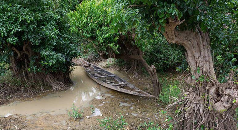 sreemangal-adventure-tea-gardens-rainforests-tribal-culture-en-20