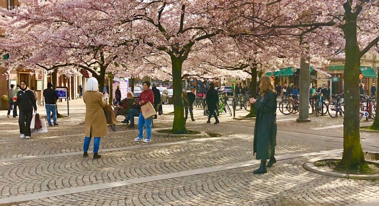 Rundgang durch Göteborgs Geschichte, lokale Kultur und Architektur Schweden &mdash; #5