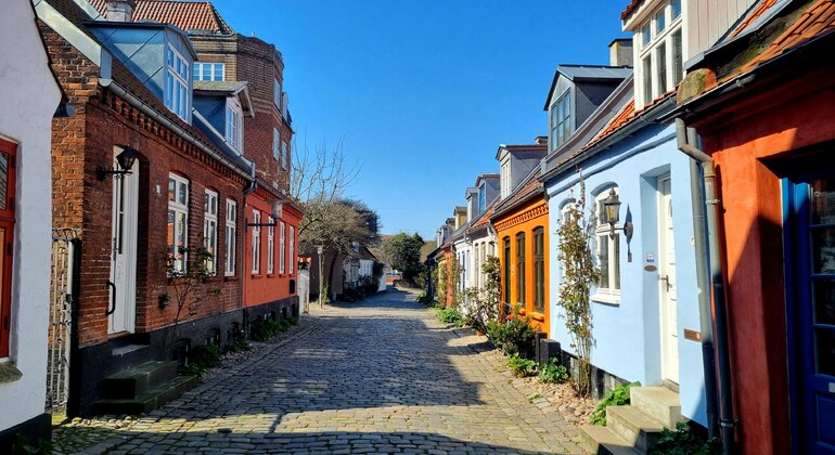 missing-in-aarhus-self-guided-exploration-game-en-3
