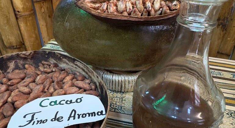 Ecuadorian Cocoa Route: Free Tour of Flavor Ecuador &mdash; #9