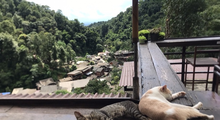 mae-kampong-village-eco-cultural-day-trip-es-2