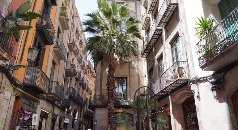 The Stand-up History Tour: El Born & Gothic & Local Tapas Spain &mdash; #6