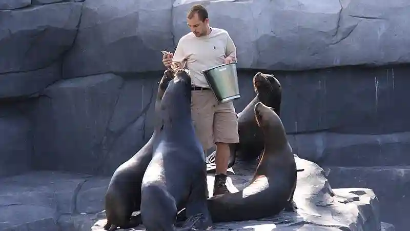 Parc Zoologique de Paris : Billet d'entrée