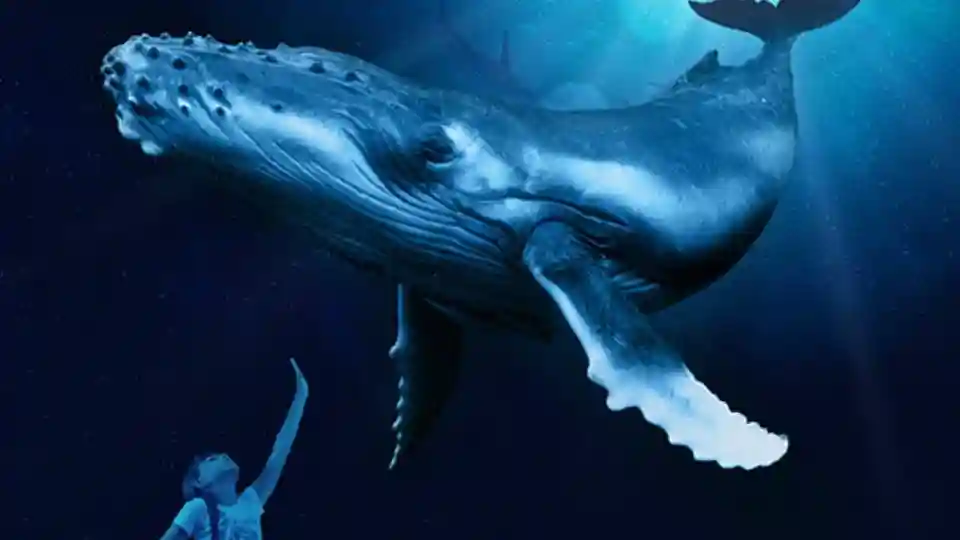 Palma Aquarium: Skip The Line Ticket + Optional 3D Cinema Aquadome Provided by PALMA DE MALLORCA AQUARIUM S.A.