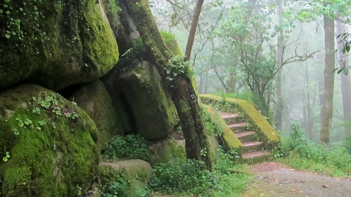 Parque da Pena en Sintra: Entrada