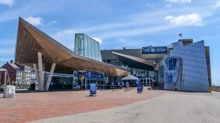 New England Aquarium: Entry Ticket Provided by New England Aquarium