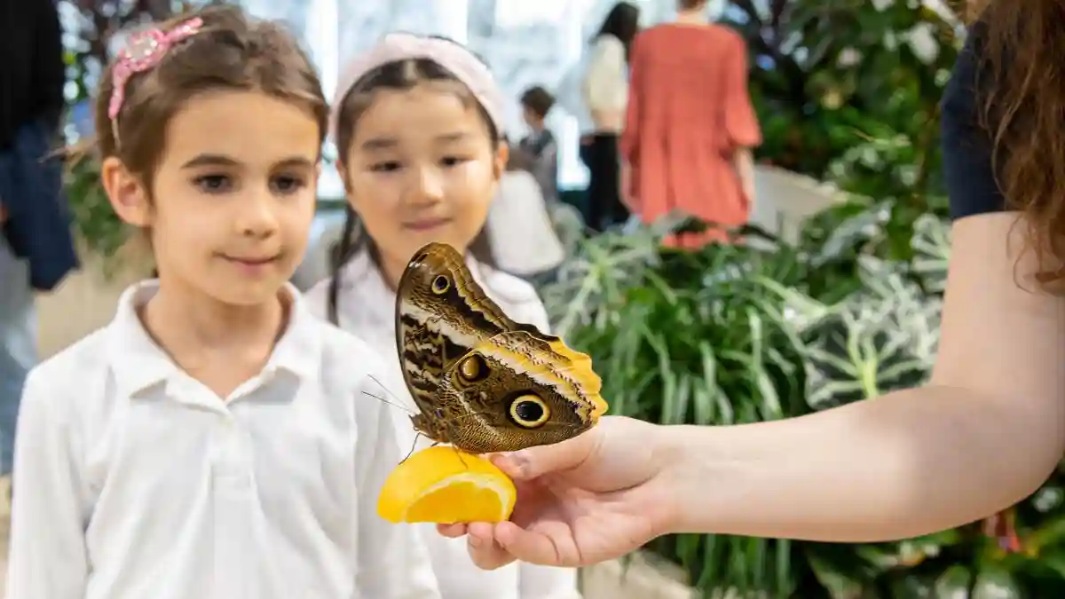 American Museum of Natural History (AMNH): Entry Ticket Provided by American Museum of Natural History