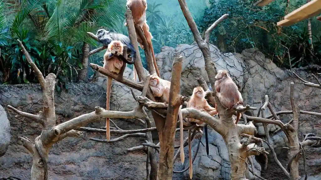 Bronx Zoo: Entry Ticket Provided by Wildlife Conservation Society