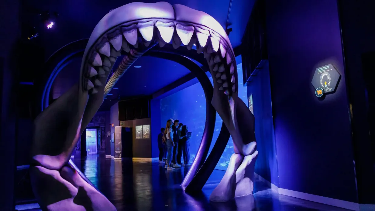 Atlantis Aquarium Madrid : Billet d'entrée