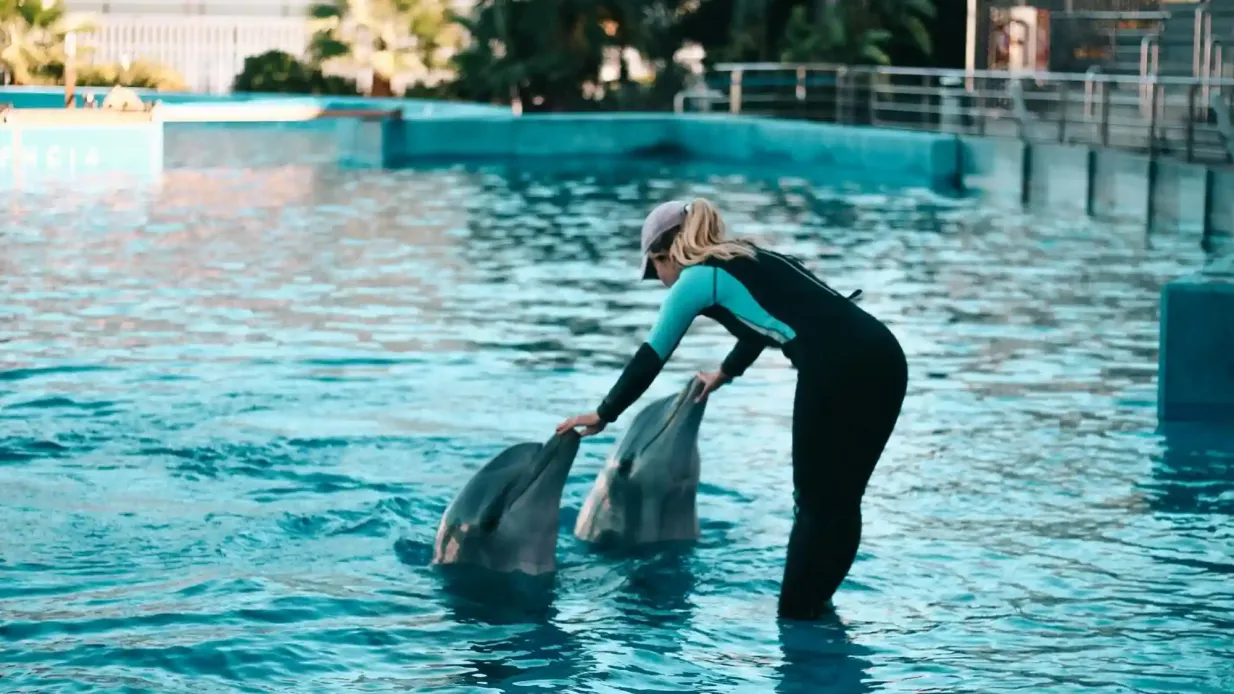 Oceanogràfic de Valencia : Billet d'entrée
