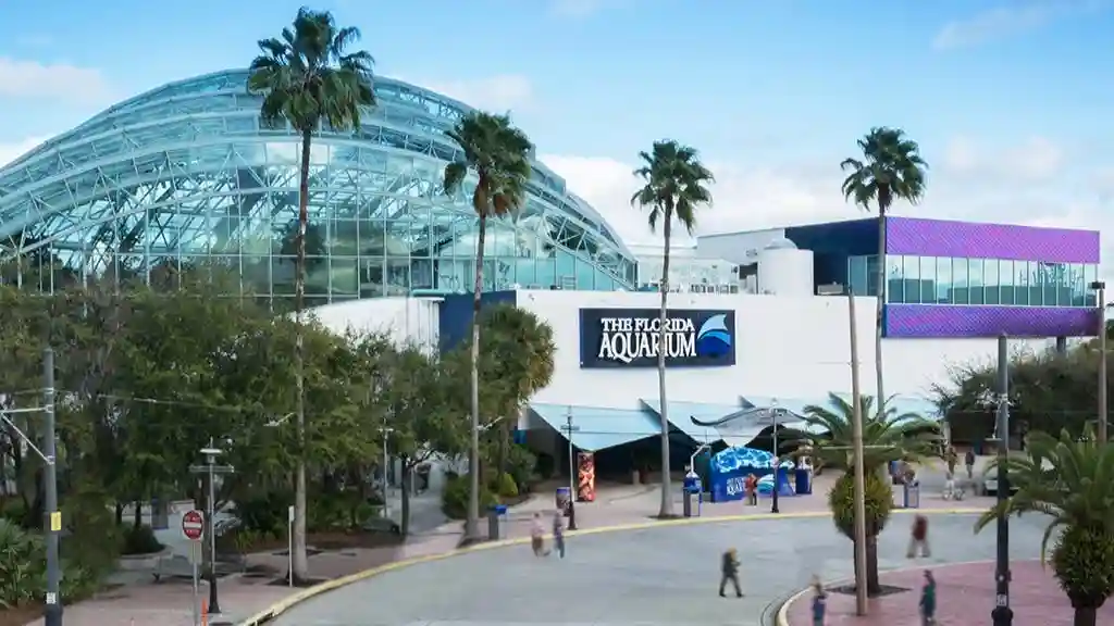 The Florida Aquarium: Entry Ticket Provided by The Florida Aquarium, Inc