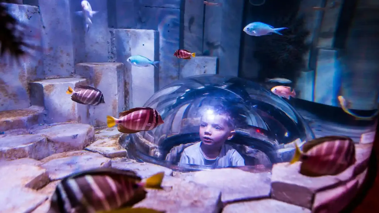 Aquarium SEA LIFE de Melbourne : Billet d'entrée