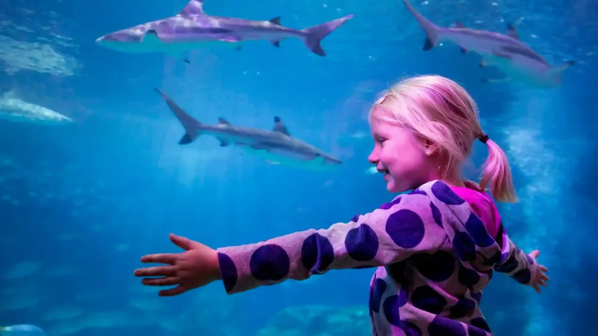 SEA LIFE Oberhausen: Entry Ticket Provided by Tiqets International B.V.