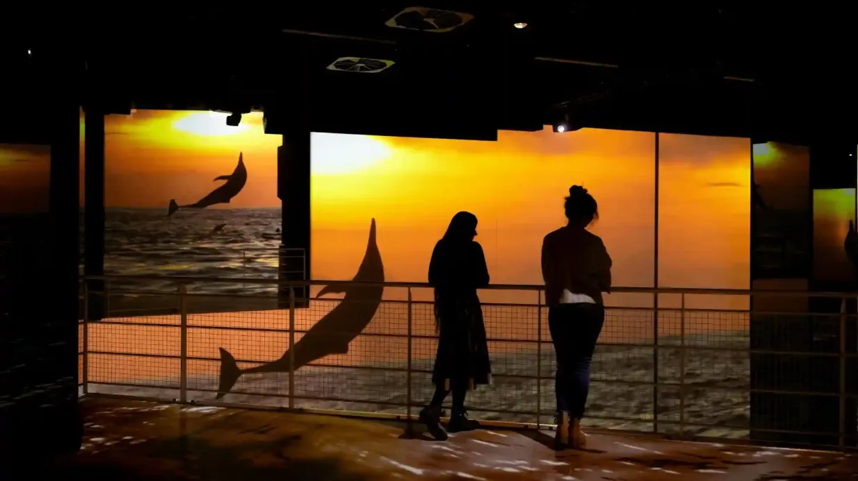 Port des Lumières: Wunder des Ozeans - Ein Tauchgang zum Eintauchen