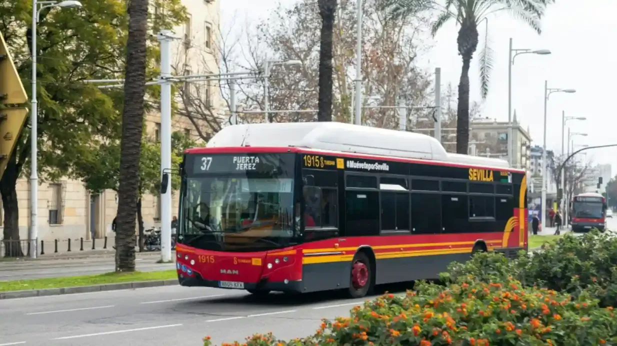 Seville: One-Way Transfer from City Center to Airport
