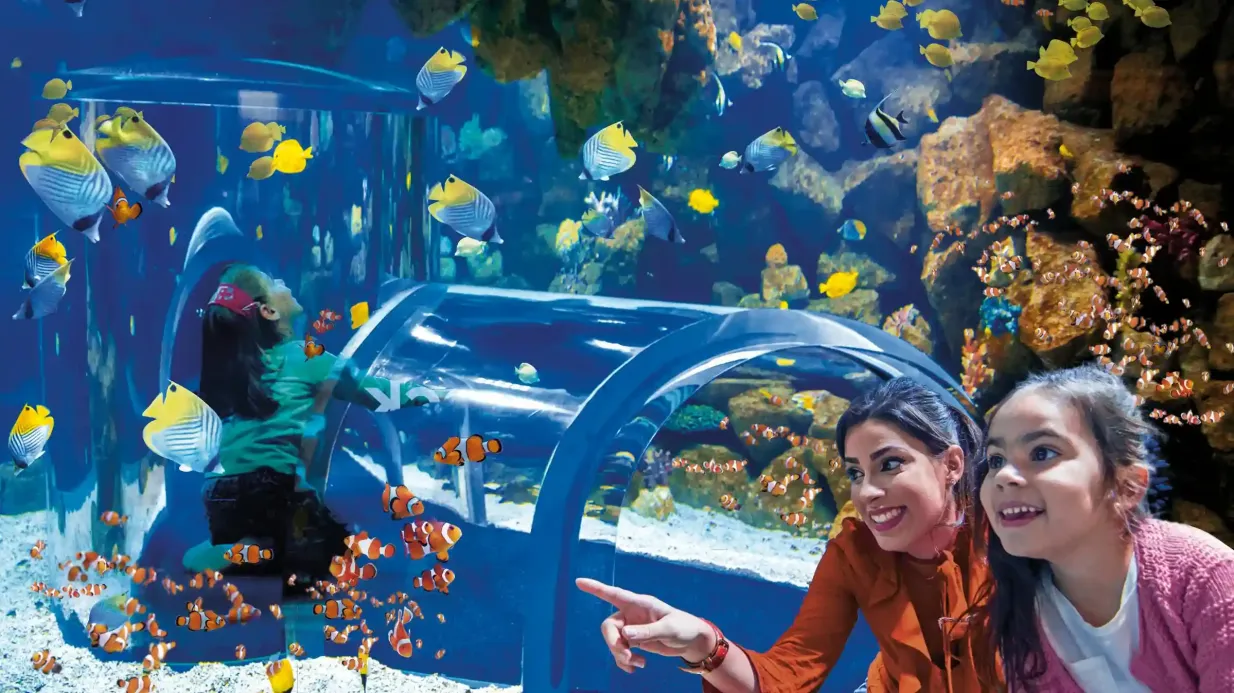 Poema del Mar - Aquarium de Grande Canarie : Billet coupe-file Fournie par Tiqets International B.V.