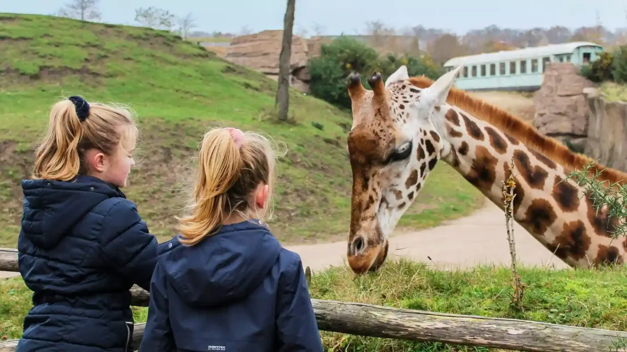 WILDLANDS : Billet d'entrée Fournie par WILDLANDS Adventure Zoo Emmen
