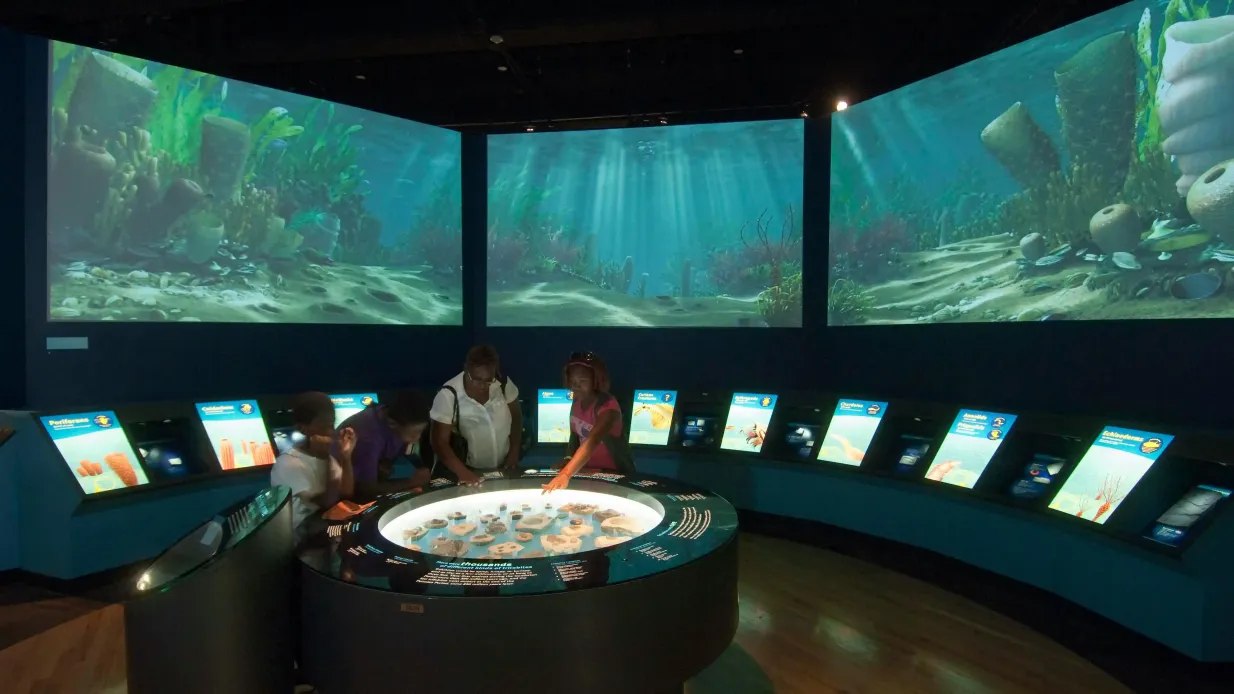 The Field Museum of Natural History: Eintrittskarte Bereitgestellt von Field Museum Chicago