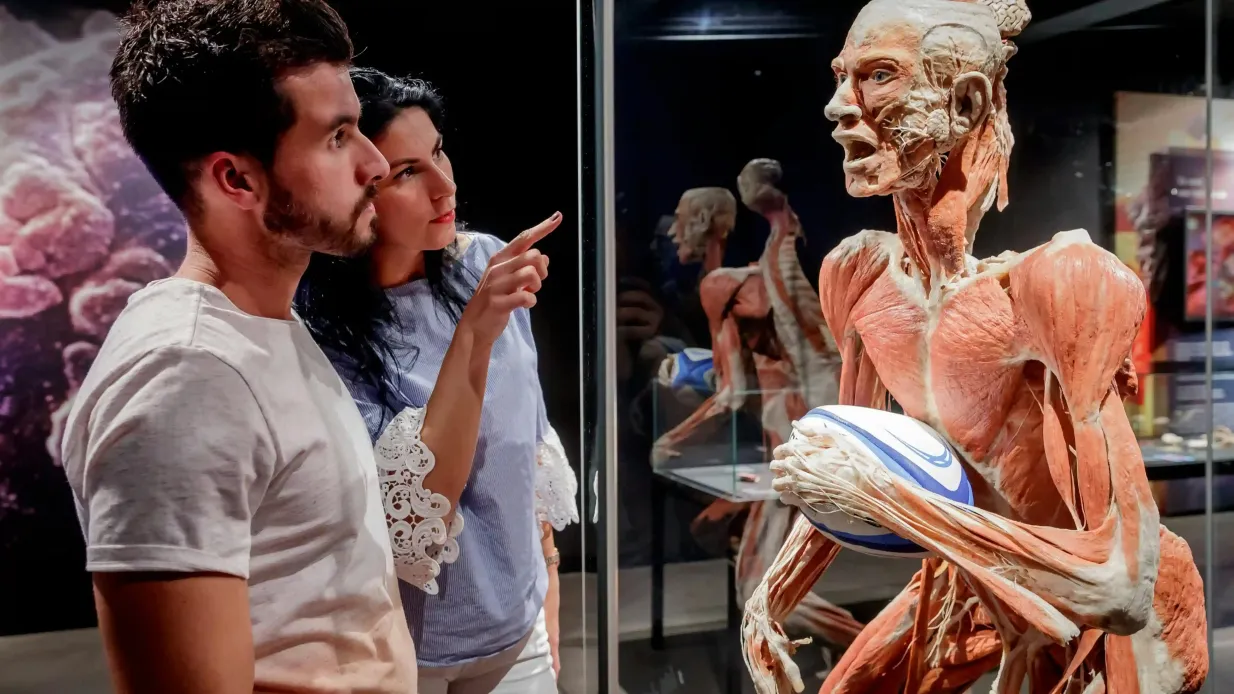 BODY WORLDS Berlín - El primer museo de BODY WORLDS