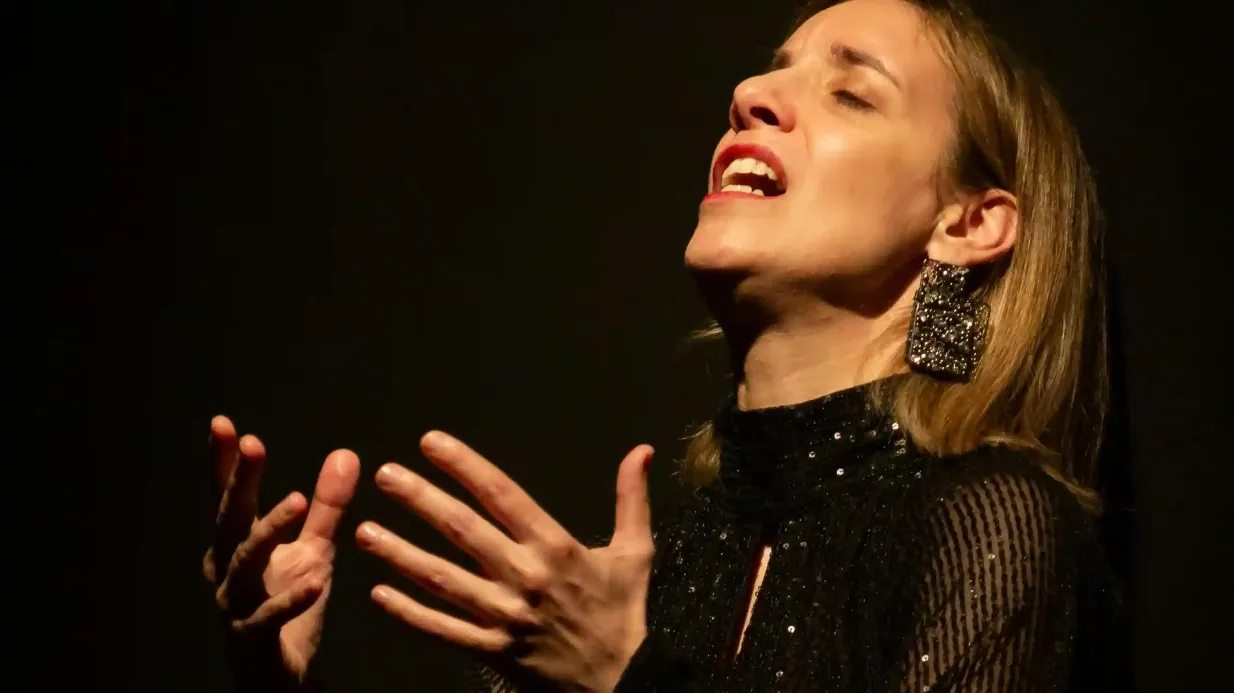 Porto: Concerto di Fado tradizionale Fornito da Ideal Clube de Fado
