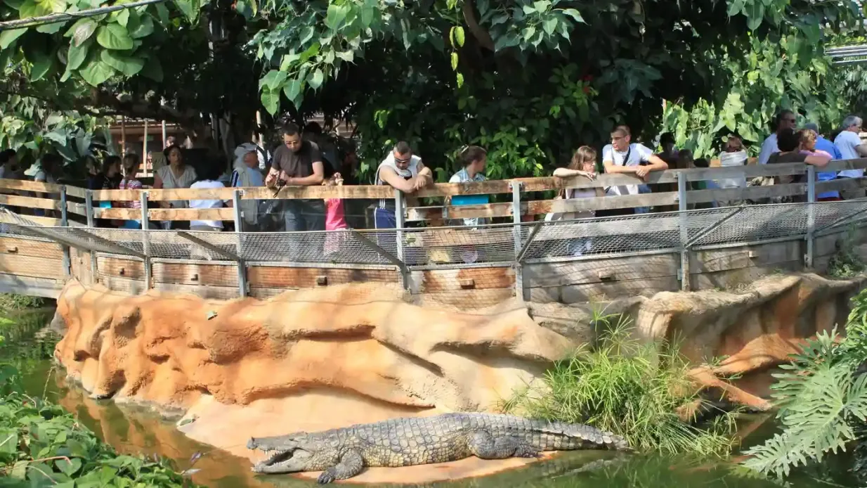 La Ferme aux Crocodiles: Entry Ticket Provided by La Ferme aux Crocodiles
