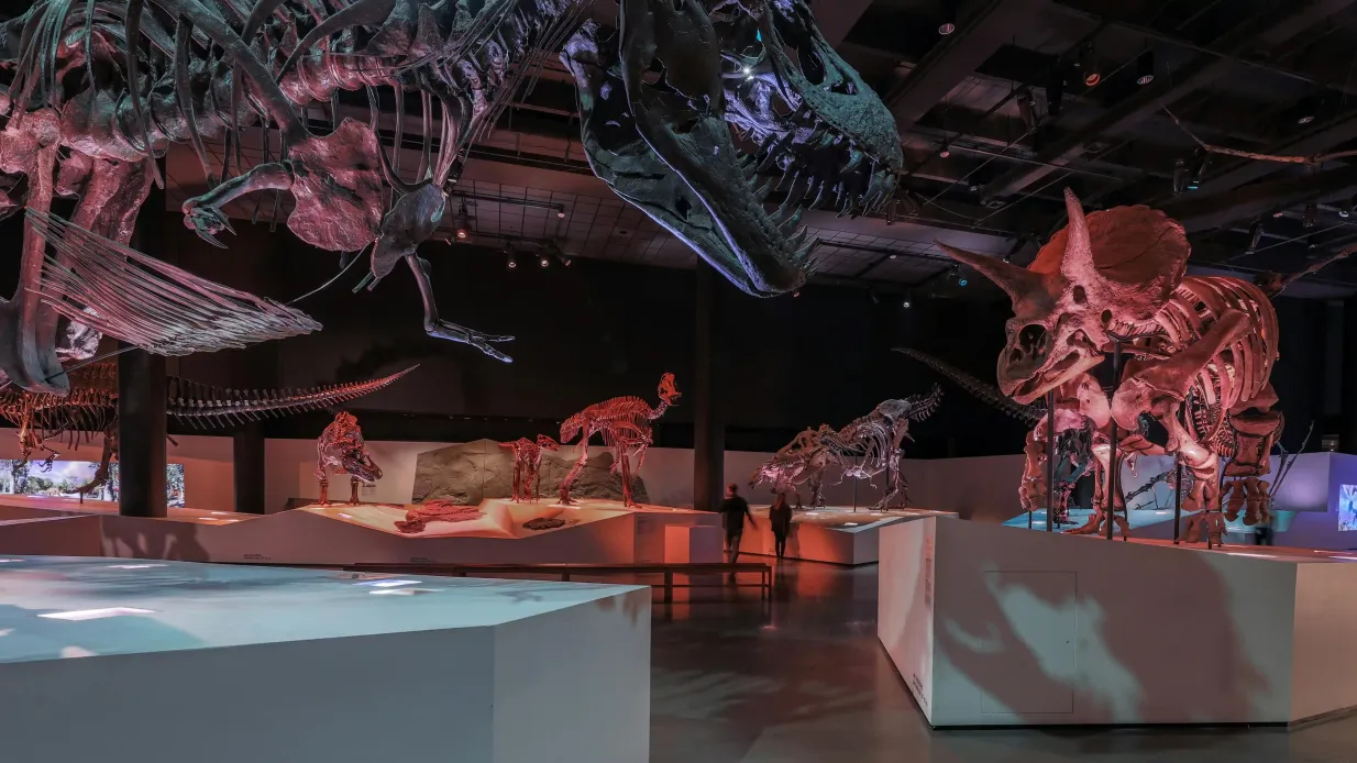 Houston Museum of Natural Science: Entry Ticket Provided by Houston Museum of Natural Science