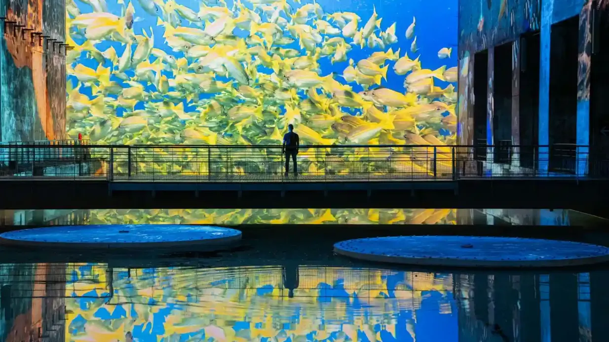 Bassins des Lumières: Exposición sobre el océano Operado por Les bassins des lumières