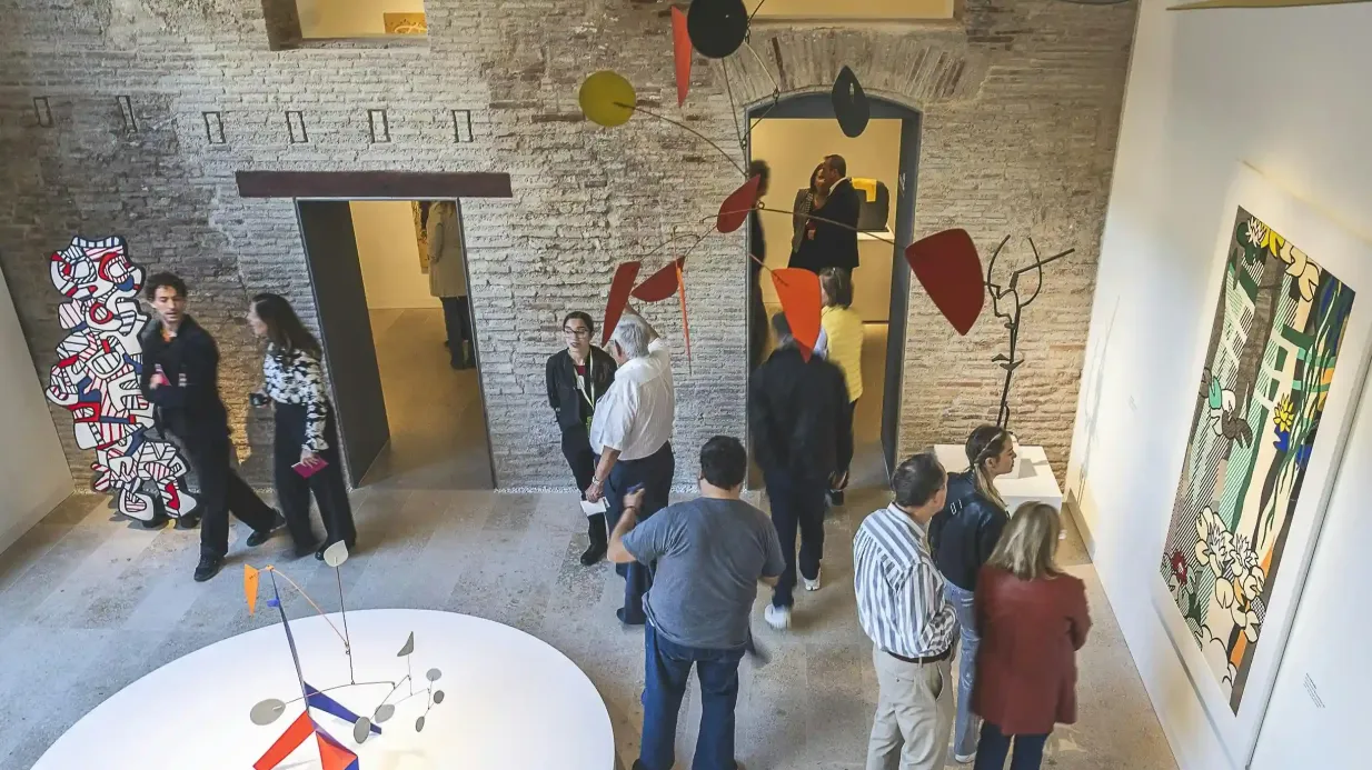 Centro de Arte Hortensia Herrero: Entry Ticket + Guided Tour